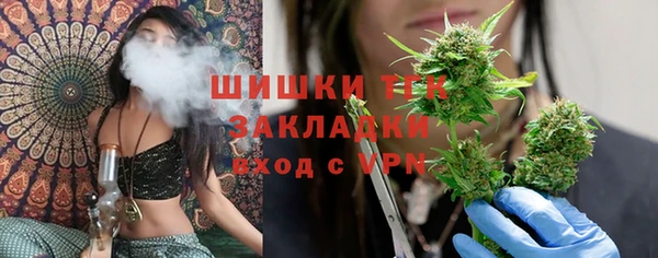 гашик Касимов