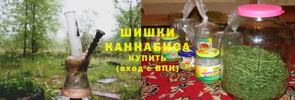МДПВ Абаза