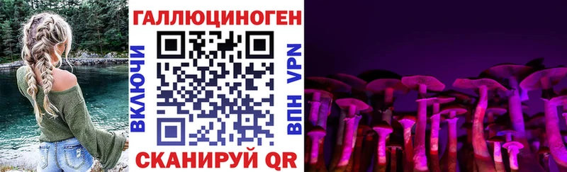 Псилоцибиновые грибы MAGIC MUSHROOMS  blacksprut ссылки  Лесозаводск 
